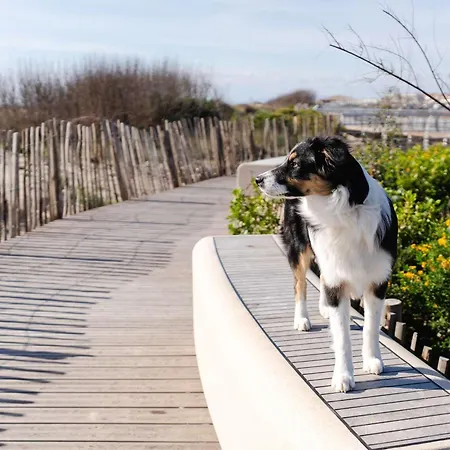 4 Pièces Avec Jardin, Terrasse, Animaux Permis, Parking - Fr-1-409-26 Saint-Pierre-la-Mer (Aude)